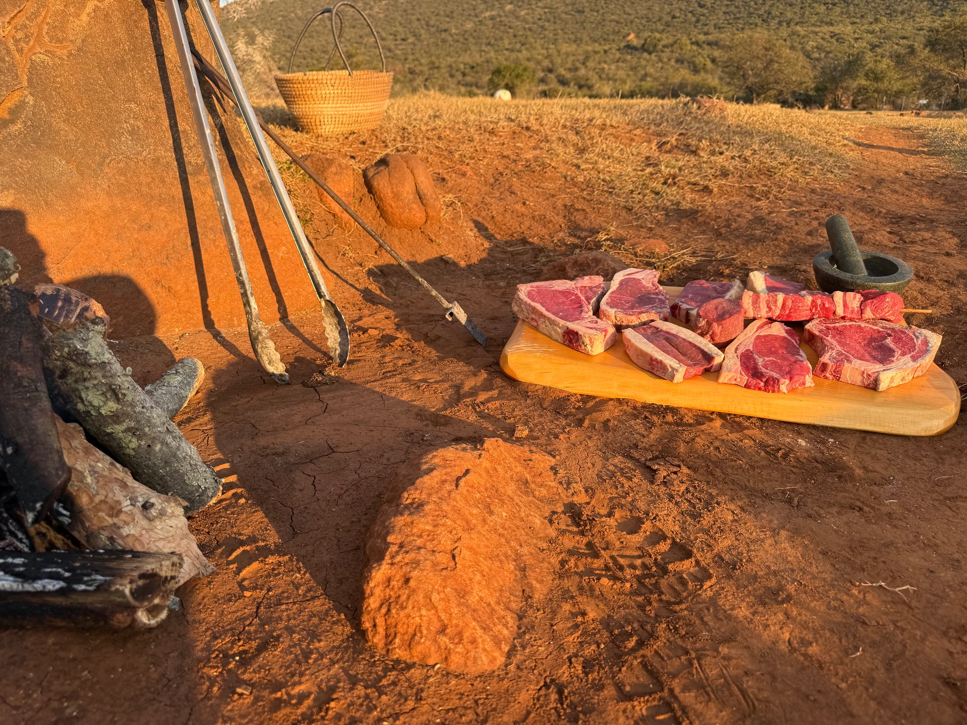 Dry Aged Grassfed Ribeye Bone-In